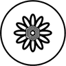 Icon 1