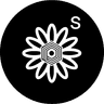 Icon 2