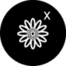 Icon 1